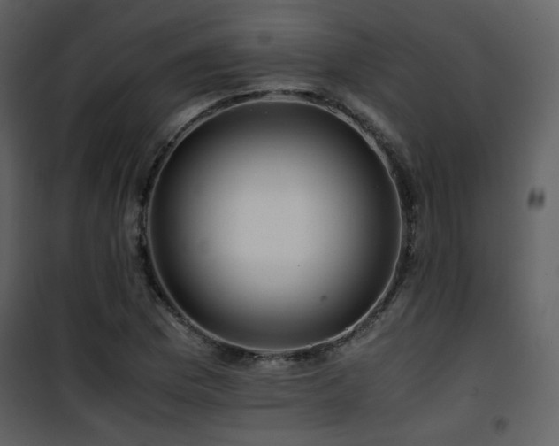 X0000101961169200807181033