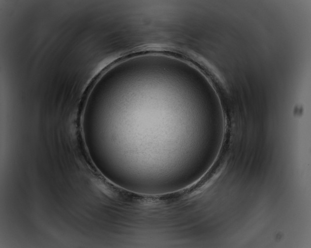 X0000101961170200807181033