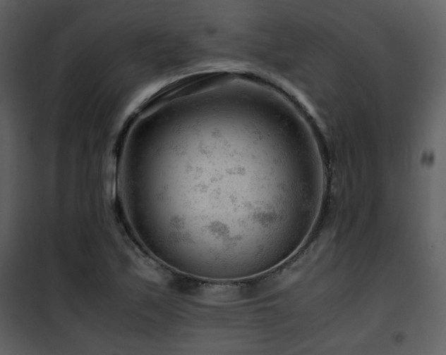 X0000101961171200807181033