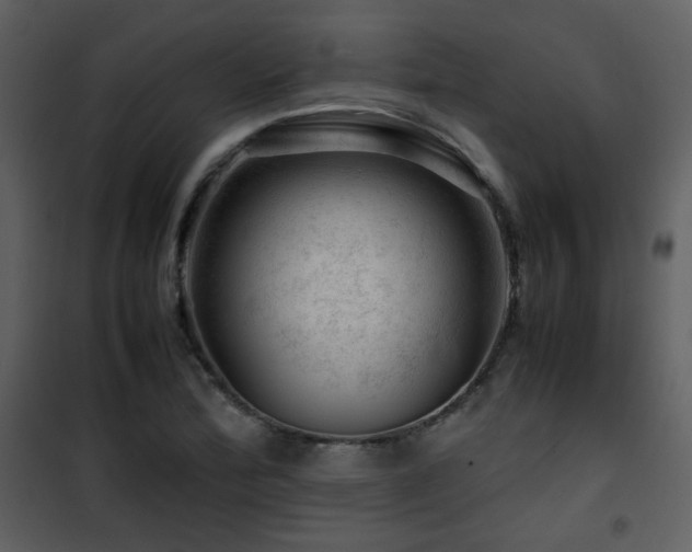X0000101961172200807181033