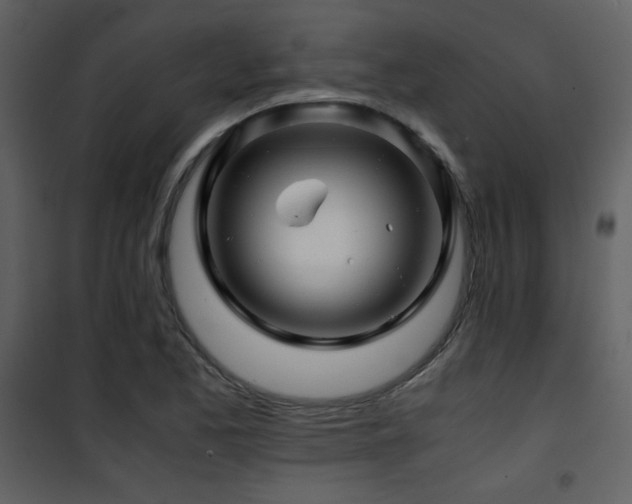 X0000101961173200807181033