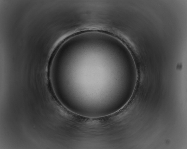X0000101961174200807181033
