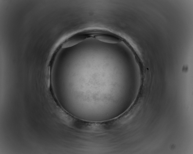 X0000101961175200807181033