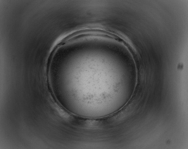 X0000101961176200807181033