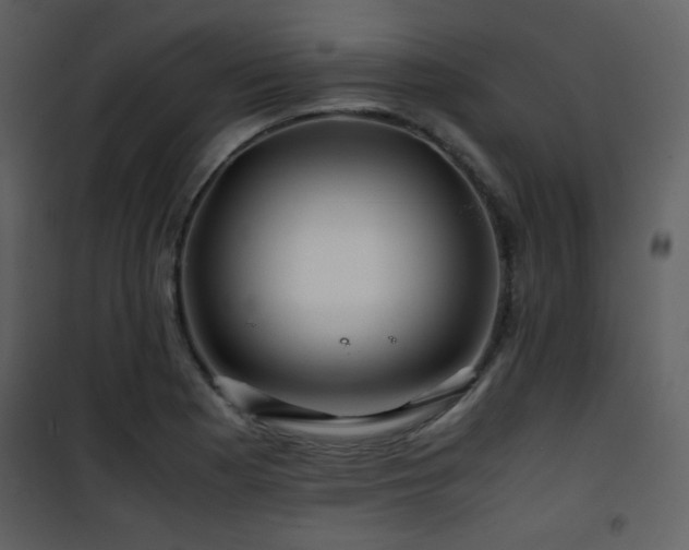 X0000101961177200807181033