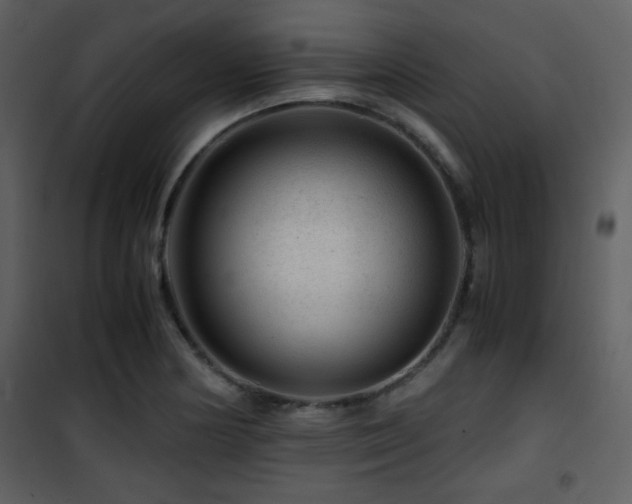 X0000101961178200807181033