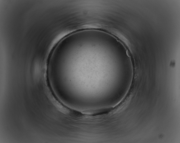 X0000101961179200807181033