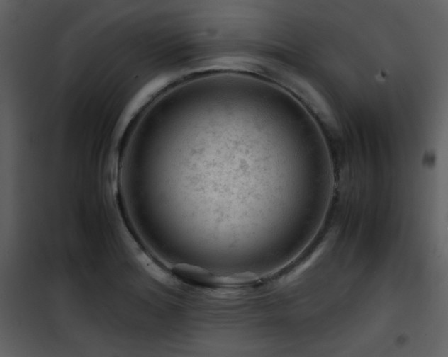 X0000101961180200807181033