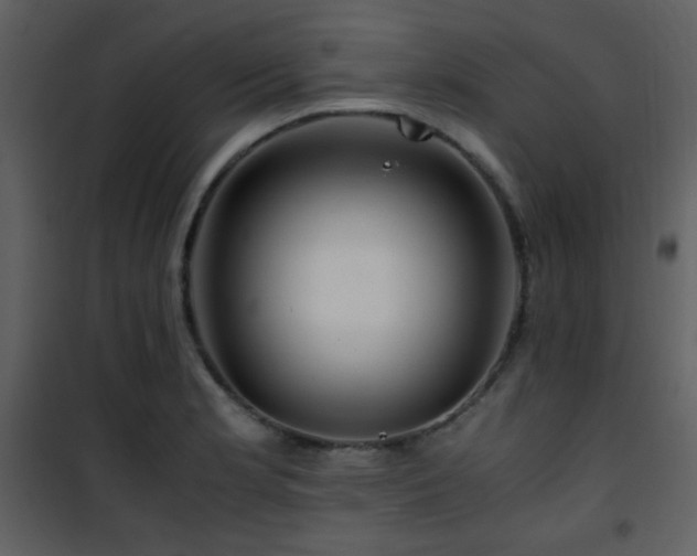 X0000101961181200807181033