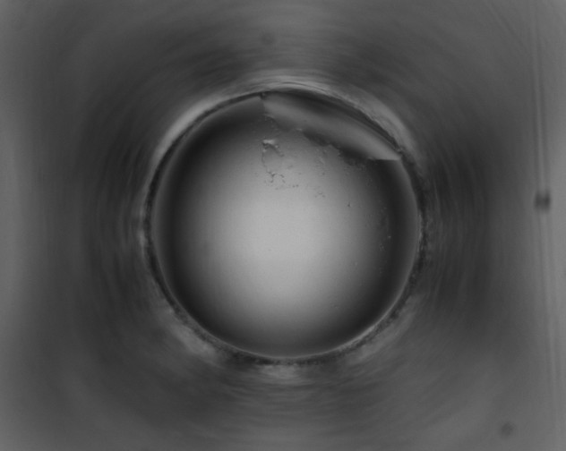 X0000101961182200807181033