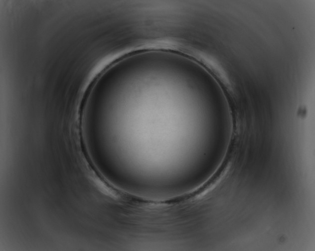 X0000101961184200807181033