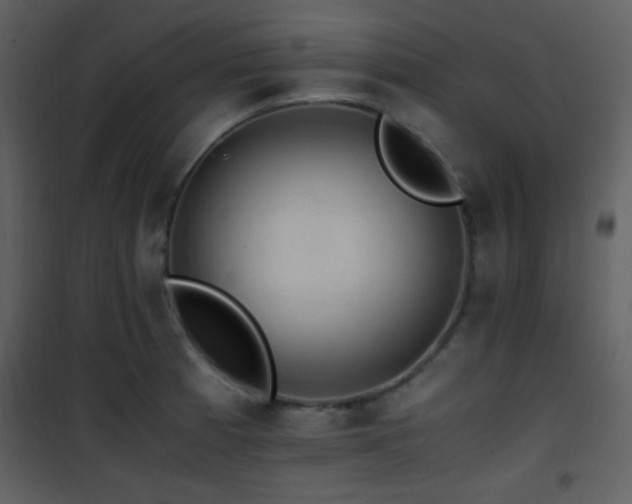 X0000101961185200807181033