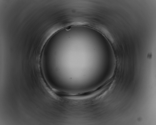 X0000101961186200807181033