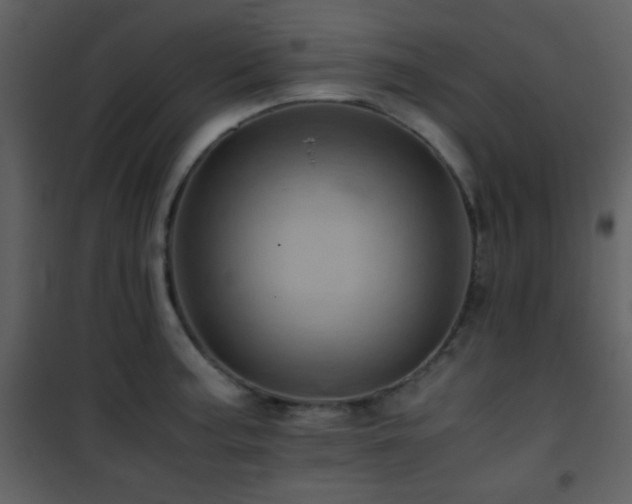 X0000101961187200807181033