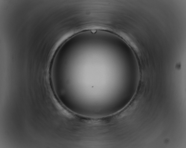 X0000101961189200807181033