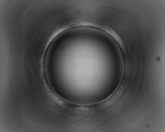 X0000101961190200807181033