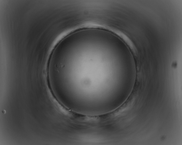 X0000101961191200807181033