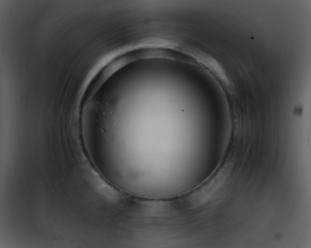 X0000101961192200807181033