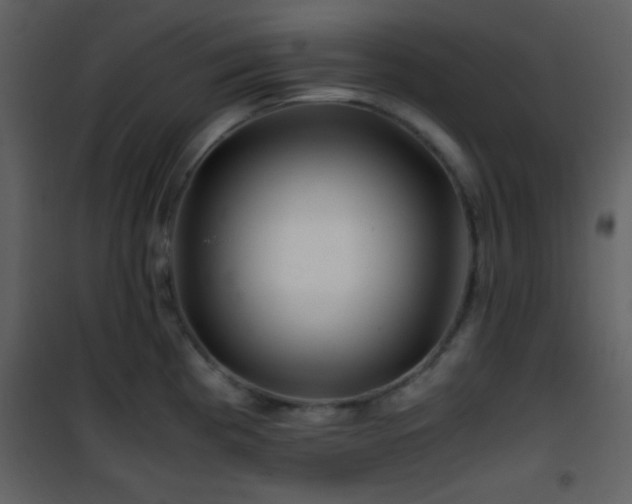 X0000101961193200807181033
