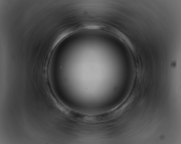 X0000101961194200807181033