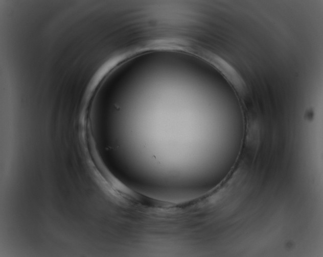 X0000101961196200807181033