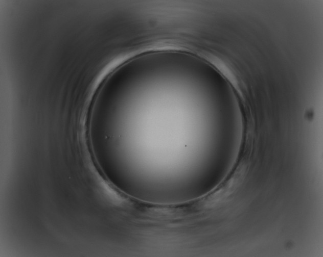 X0000101961197200807181033