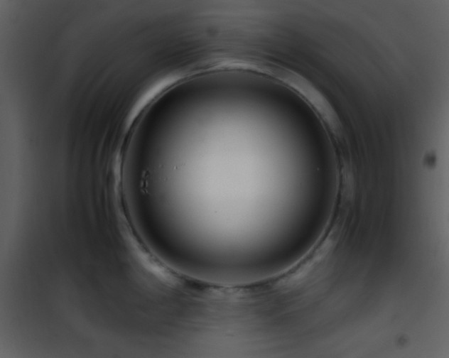 X0000101961198200807181033
