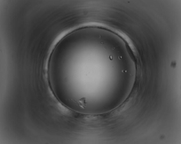X0000101961199200807181033
