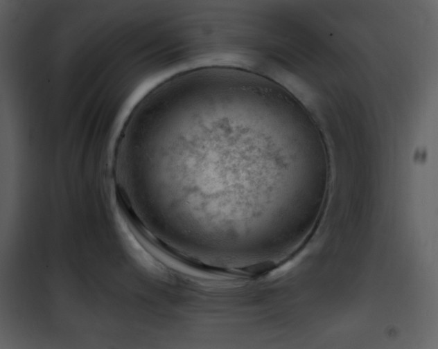 X0000101961200200807181033
