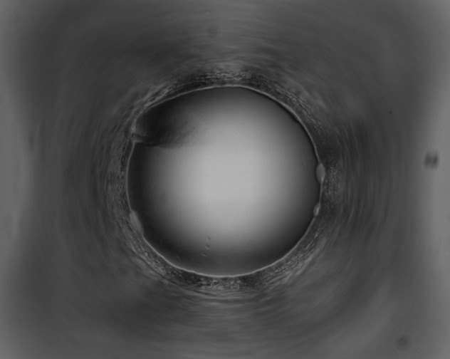 X0000101961201200807181032