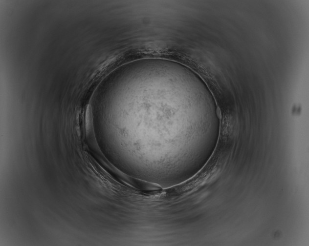 X0000101961202200807181032