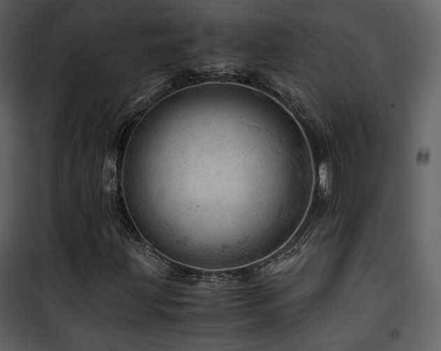 X0000101961203200807181032