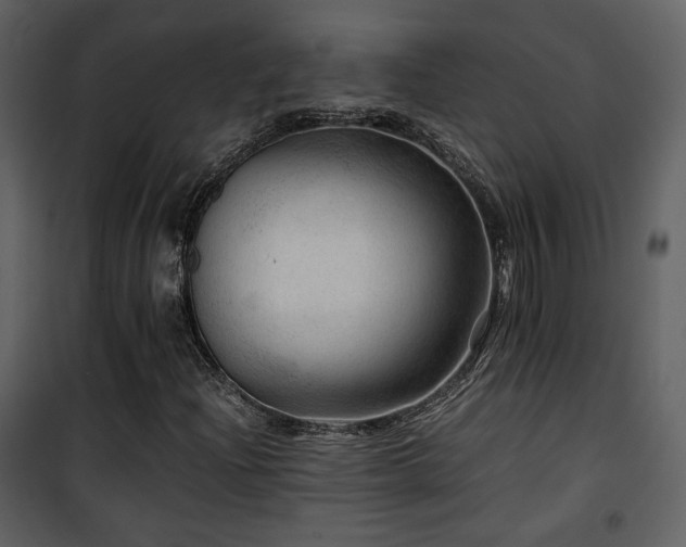 X0000101961204200807181032