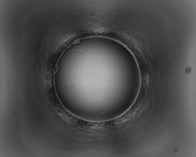 X0000101961205200807181032