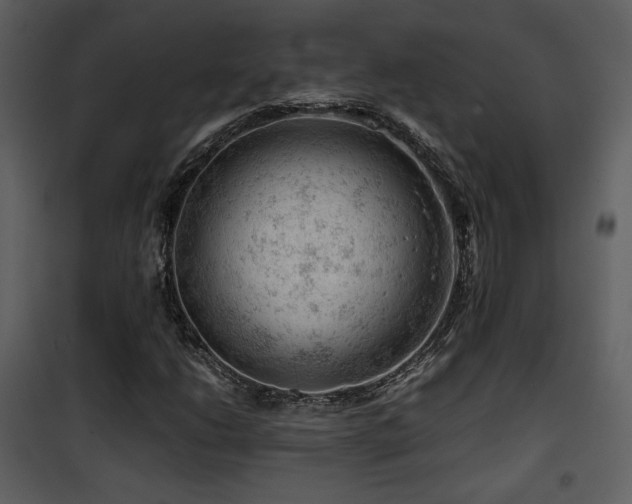 X0000101961206200807181032