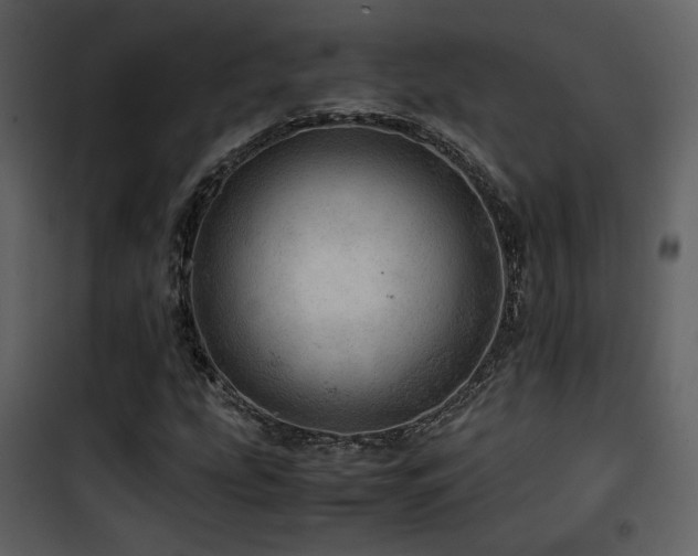 X0000101961207200807181032