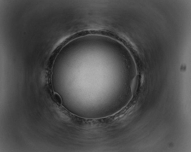 X0000101961208200807181032