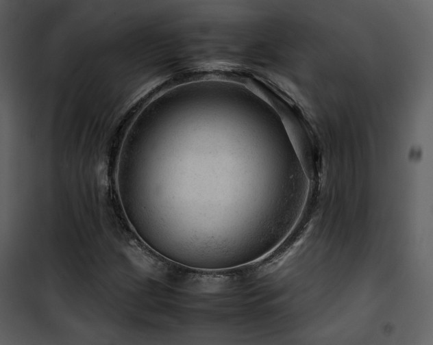 X0000101961209200807181032