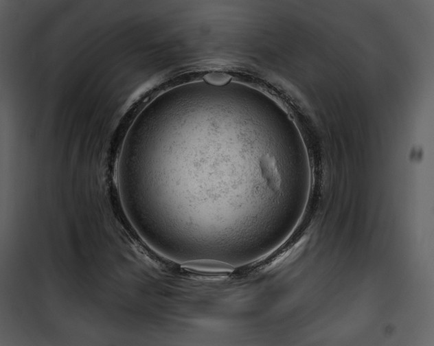 X0000101961210200807181032