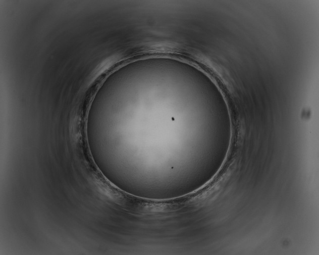 X0000101961211200807181032