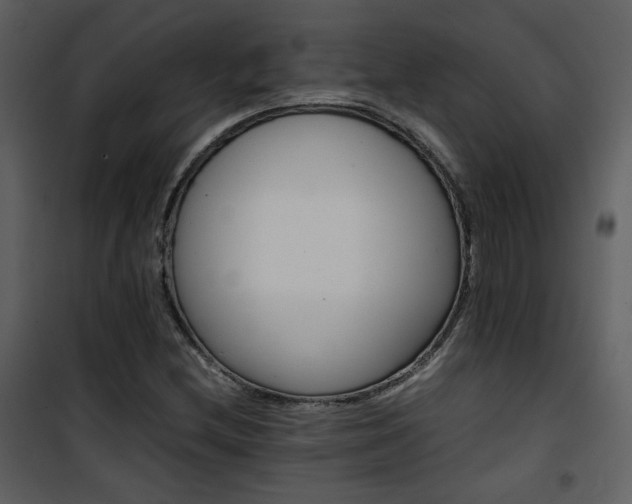X0000101961212200807181032