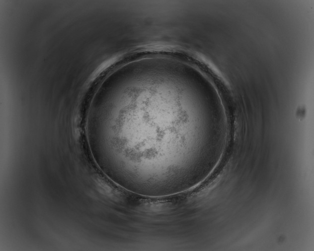 X0000101961213200807181032