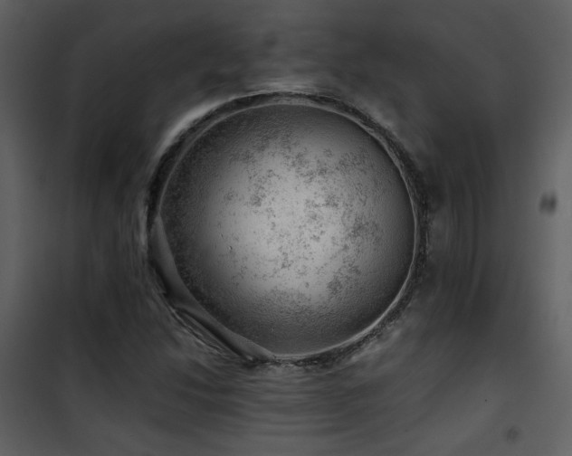 X0000101961214200807181032