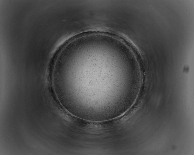 X0000101961215200807181032