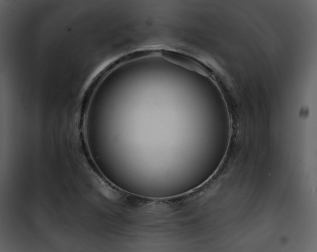 X0000101961216200807181032