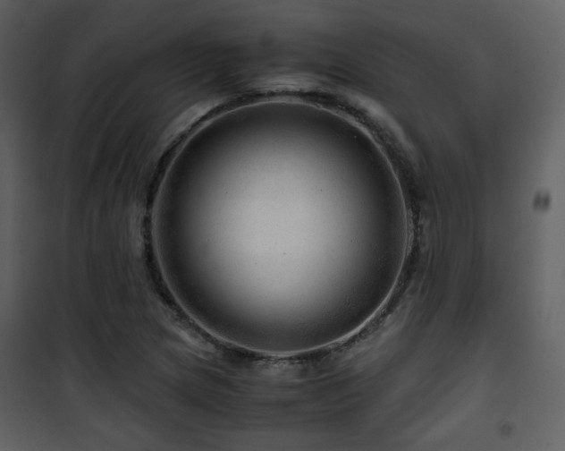 X0000101961217200807181032
