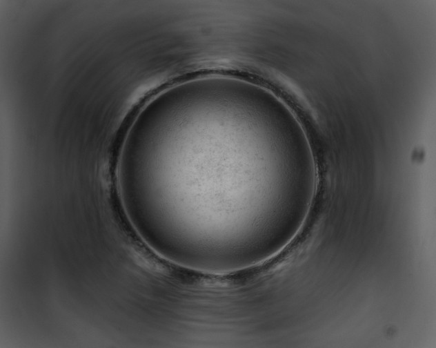 X0000101961218200807181032