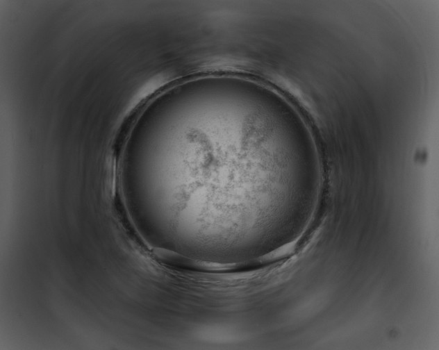 X0000101961219200807181032