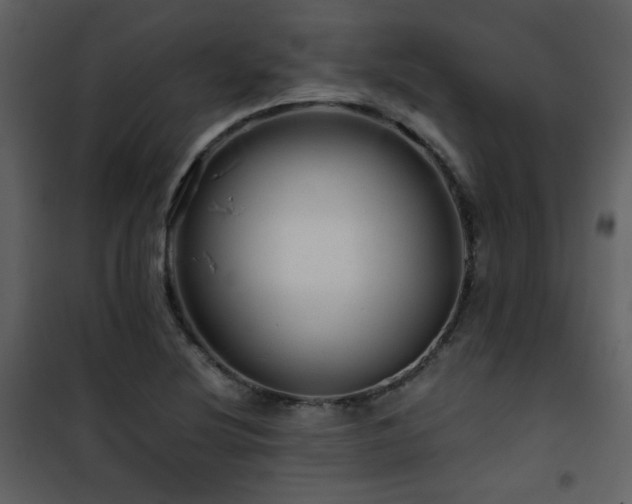 X0000101961220200807181032