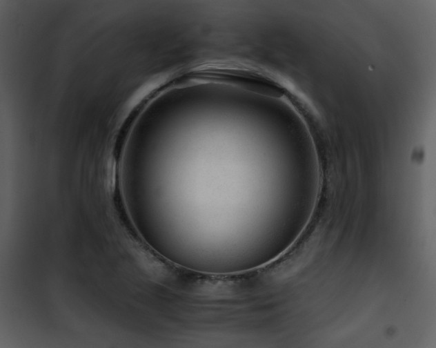 X0000101961221200807181032